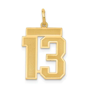 14k Yellow Gold Satin Brush Finish Medium Size Number 13 Charm Pendant