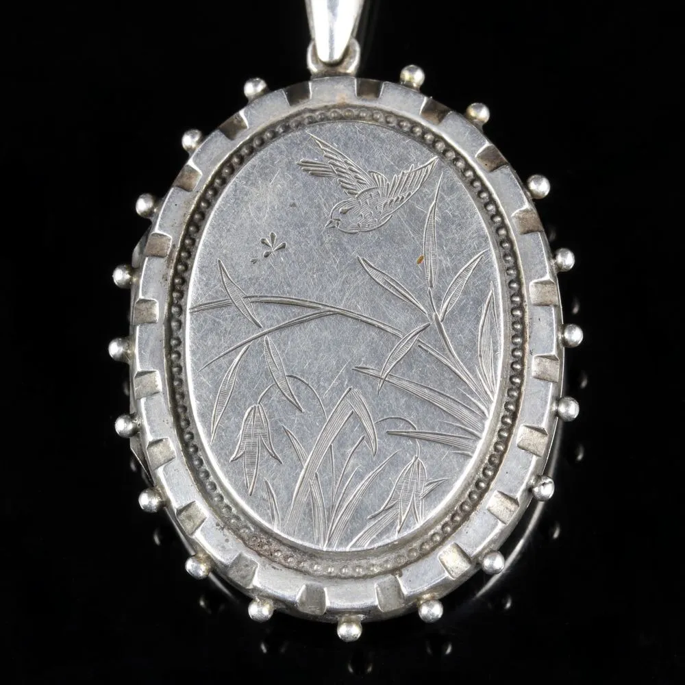 Antique Edwardian Silver Locket And Collar Dated 1905