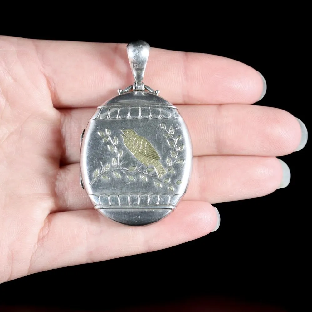 Antique Victorian Large Silver Locket With Gold Bird Dated 1876