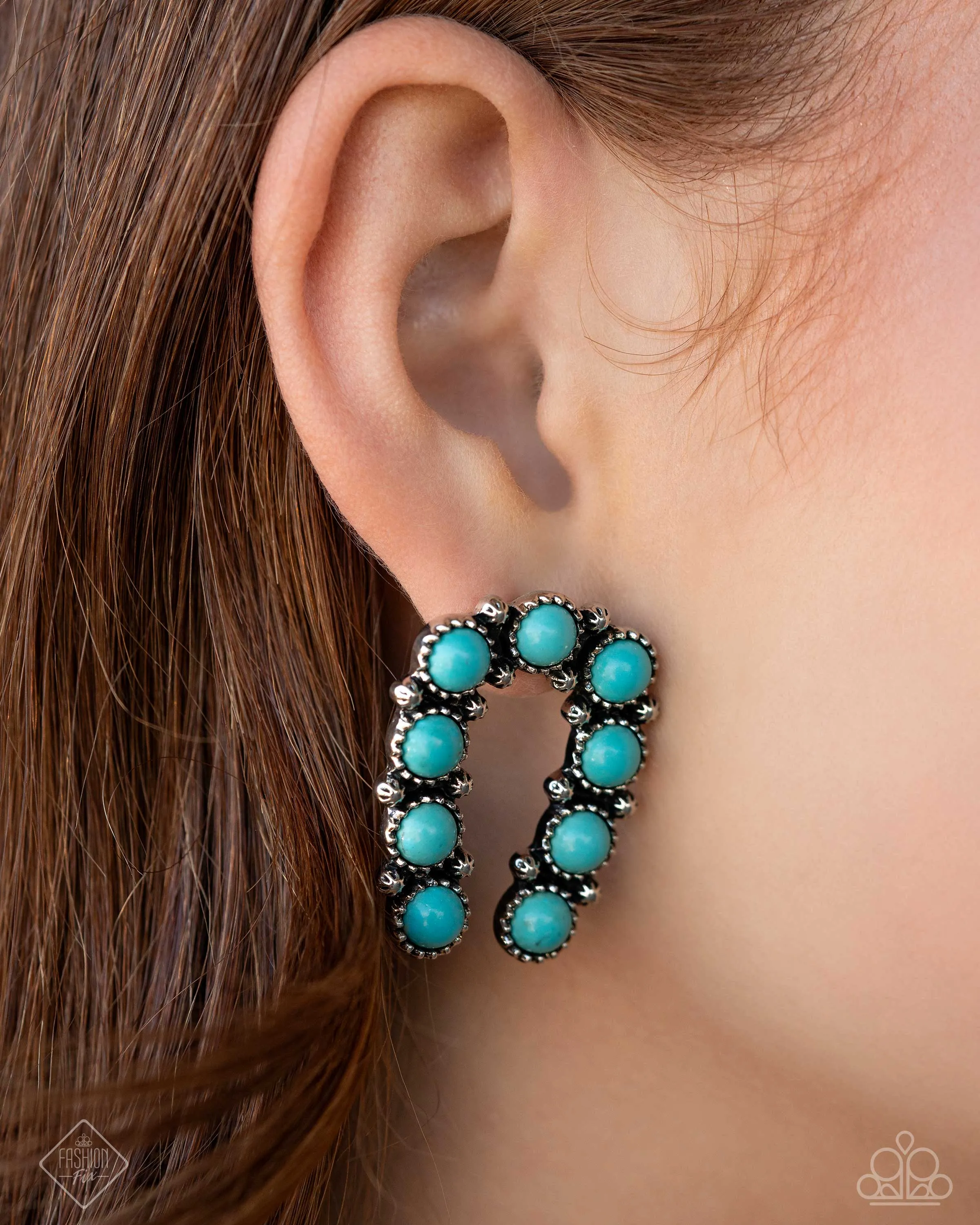 Wild West Wonder - Blue Earrings